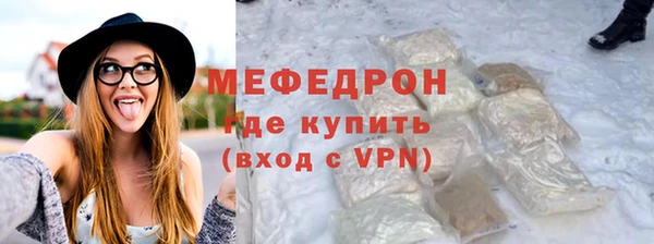 хмурый Аркадак