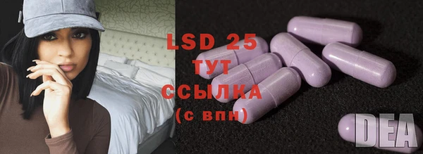 эйфоретик Баксан