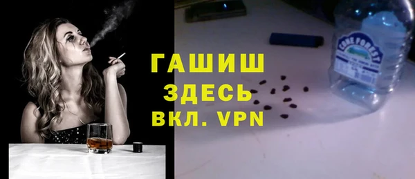 хмурый Аркадак