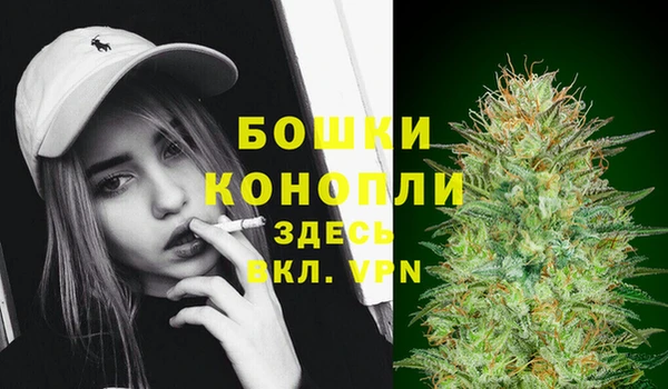 эйфоретик Баксан