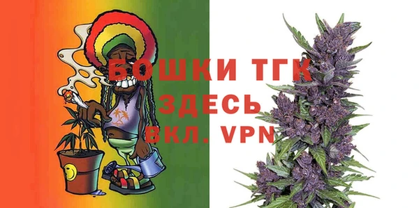 хмурый Аркадак