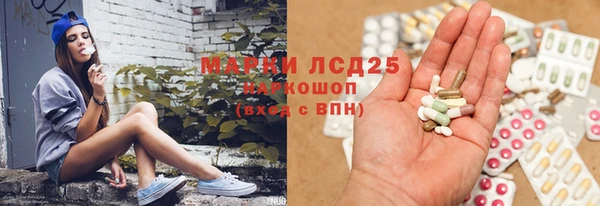 хмурый Аркадак