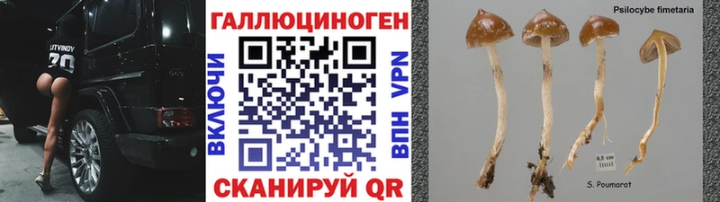 Псилоцибиновые грибы прущие грибы  где купить наркотик  Олёкминск 